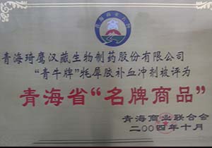 &#20061;&#28216;&#28216;&#25103;&#23448;&#32593;&#45;&#20061;&#28216;&#65288;&#20013;&#22269;&#65289;